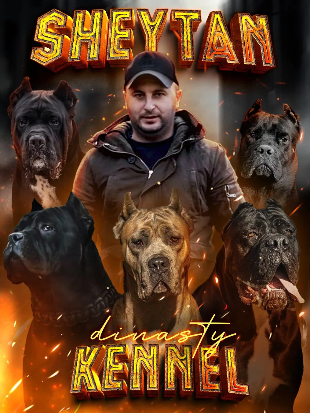 Grafički dizajn pojedinačne objave (Poster) – Sheytan Dynasty Kennel