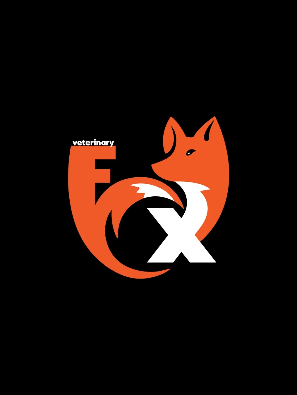Grafički dizajn – Izrada tri konceptualna rešenja za logo